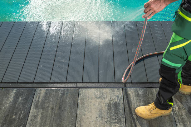 Best Residential Pressure Washing Services  in North Branch, MI