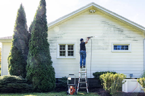 Why Choose Our Certified Pressure Washing Experts for Your Project Needs in North Branch, MI?