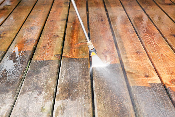 Best Local Pressure Washing Services  in North Branch, MI