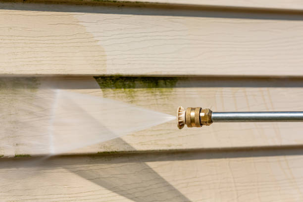 Deck Cleaning Services in North Branch, MI