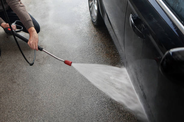 Best Roof Power Washing Services  in North Branch, MI