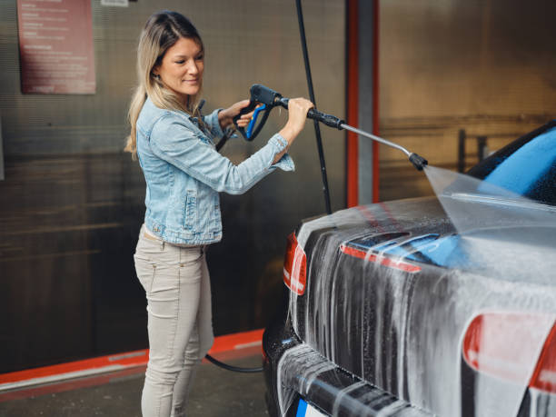 Best Pressure Washing Company Near Me  in North Branch, MI