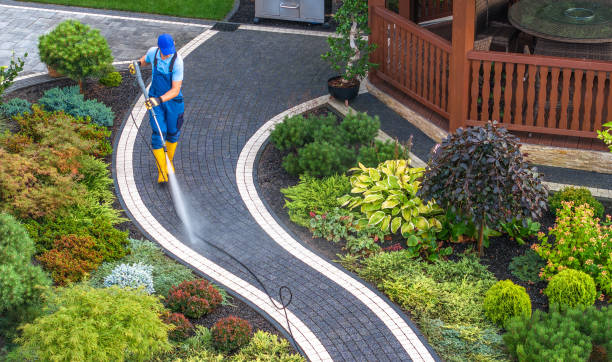 Best Deck Pressure Washing  in North Branch, MI
